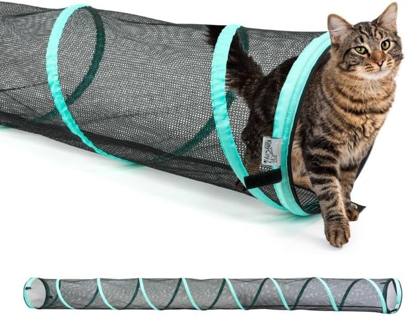 10 ft tunnel