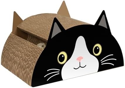 Black cat