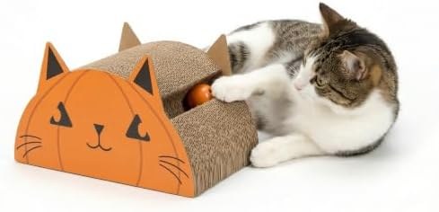Pumpkin (orange)