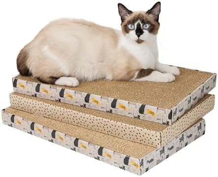 3-pack (cat print)