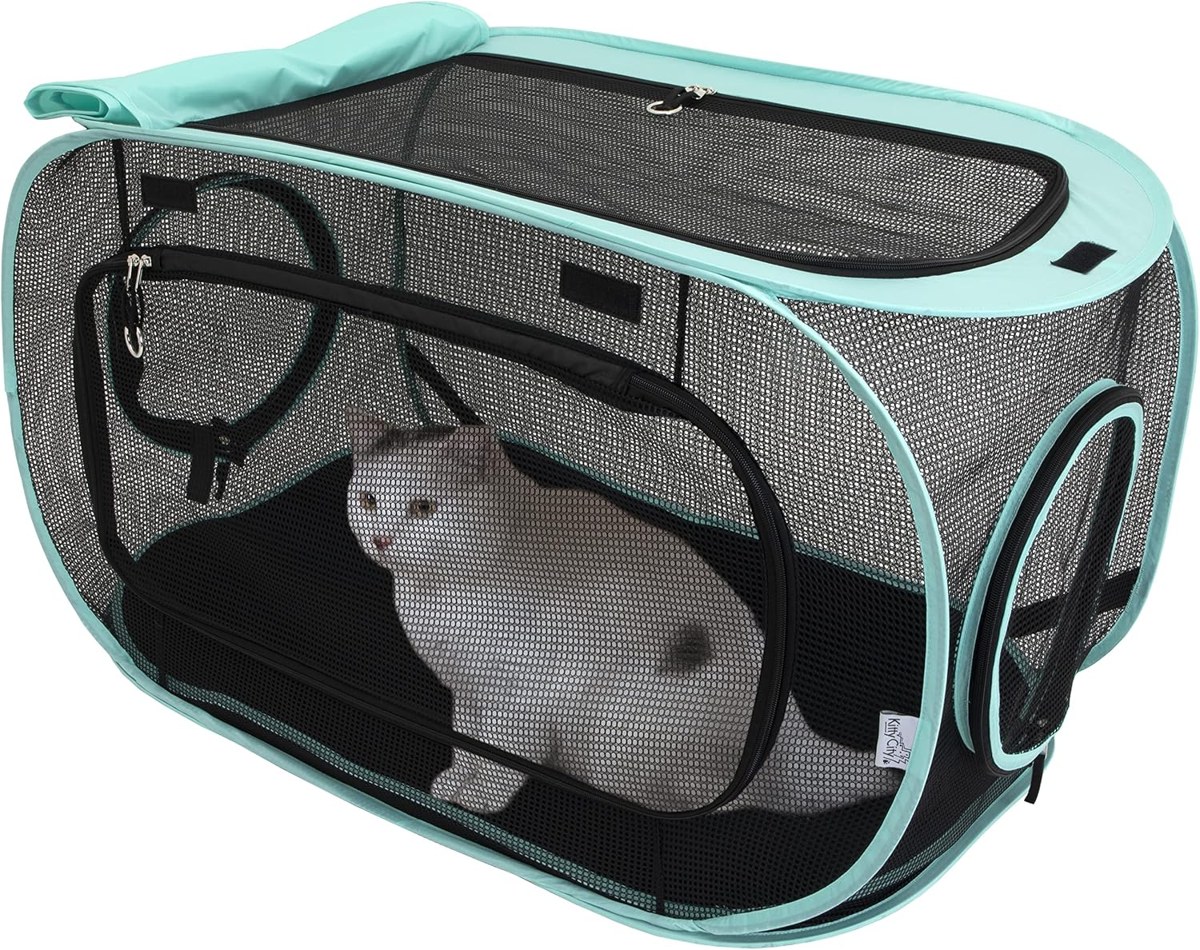 Backyard Catio