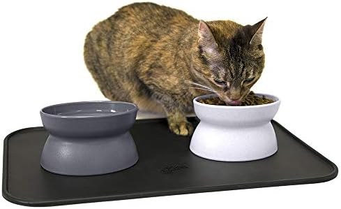 Bowls + mat kit