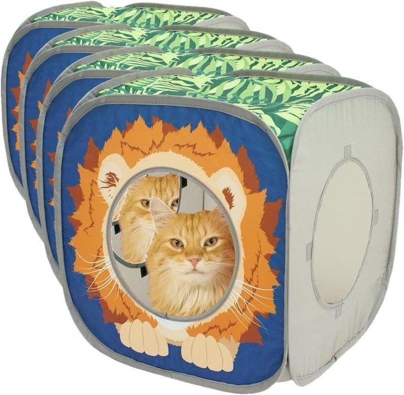 Lion cubes (4-pack)