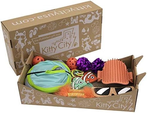 Deluxe toy box